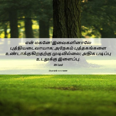 Picture 06 - பிரசங்கி 12:12 TAMIRV - என் மகனே! - Bible Verse Picture