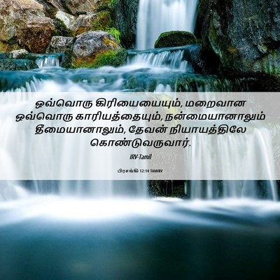 Picture 06 - பிரசங்கி 12:14 TAMIRV - ஒவ்வொரு - Bible Verse Picture