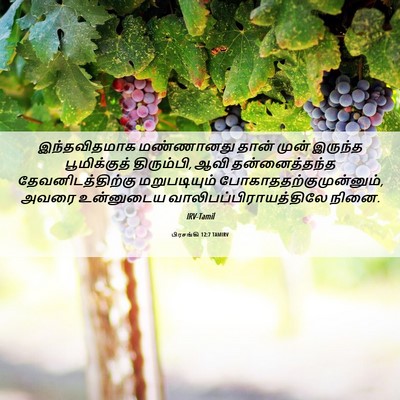 Picture 06 - பிரசங்கி 12:7 TAMIRV - இந்தவிதமாக - Bible Verse Picture