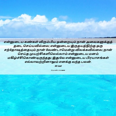 Picture 06 - பிரசங்கி 2:10 TAMIRV - என்னுடைய கண்கள் - Bible Verse Picture