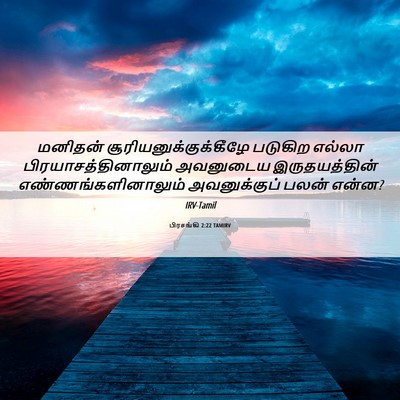 Picture 06 - பிரசங்கி 2:22 TAMIRV - மனிதன் - Bible Verse Picture