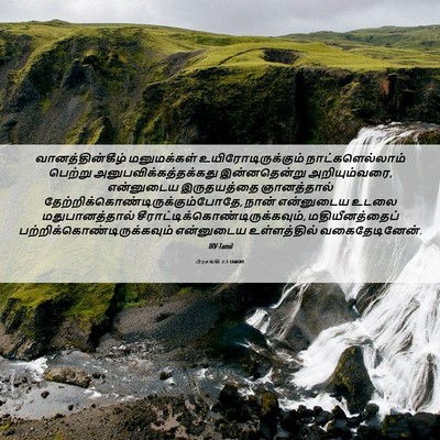Picture 06 - பிரசங்கி 2:3 TAMIRV - வானத்தின்கீழ் - Bible Verse Picture