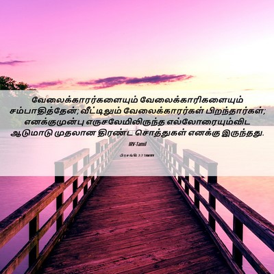Picture 06 - பிரசங்கி 2:7 TAMIRV -  - Bible Verse Picture