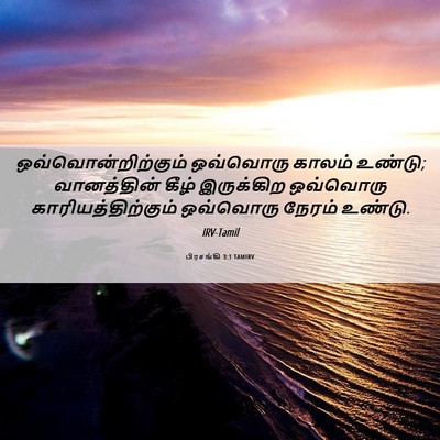 Picture 06 - பிரசங்கி 3:1 TAMIRV - ஒவ்வொன்றிற்கும் - Bible Verse Picture