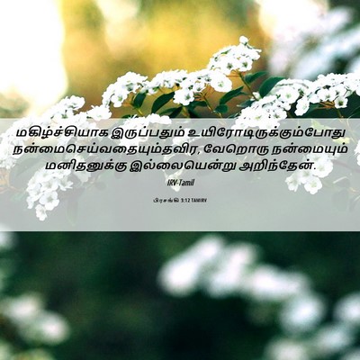 Picture 06 - பிரசங்கி 3:12 TAMIRV - மகிழ்ச்சியாக - Bible Verse Picture