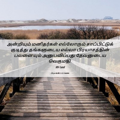 Picture 06 - பிரசங்கி 3:13 TAMIRV - அன்றியும் - Bible Verse Picture
