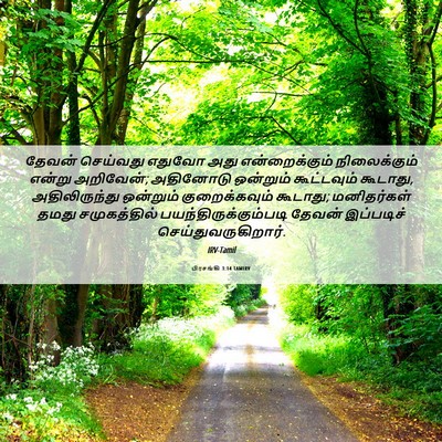 Picture 06 - பிரசங்கி 3:14 TAMIRV - தேவன் செய்வது - Bible Verse Picture