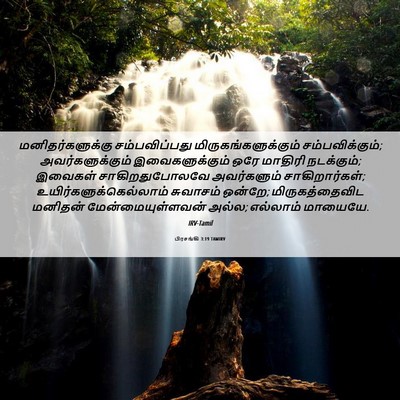 Picture 06 - பிரசங்கி 3:19 TAMIRV - மனிதர்களுக்கு - Bible Verse Picture