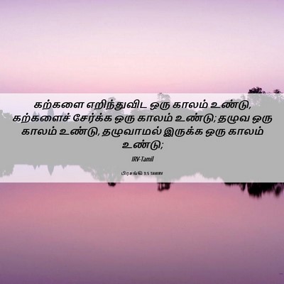 Picture 06 - பிரசங்கி 3:5 TAMIRV - கற்களை எறிந்துவிட - Bible Verse Picture