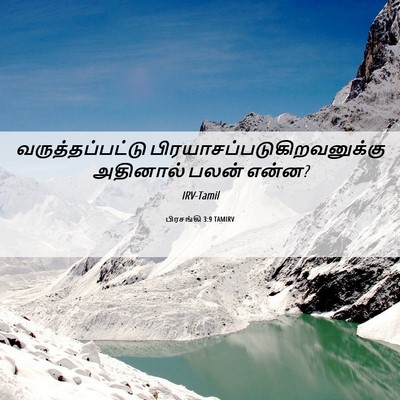 Picture 06 - பிரசங்கி 3:9 TAMIRV - வருத்தப்பட்டு - Bible Verse Picture