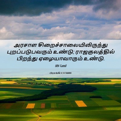Picture 06 - பிரசங்கி 4:14 TAMIRV - அரசாள - Bible Verse Picture