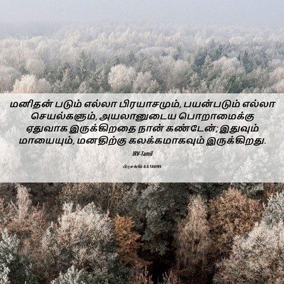Picture 06 - பிரசங்கி 4:4 TAMIRV - மனிதன் படும் - Bible Verse Picture