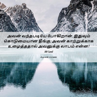 Picture 06 - பிரசங்கி 5:16 TAMIRV - அவன் வந்தபடியே - Bible Verse Picture