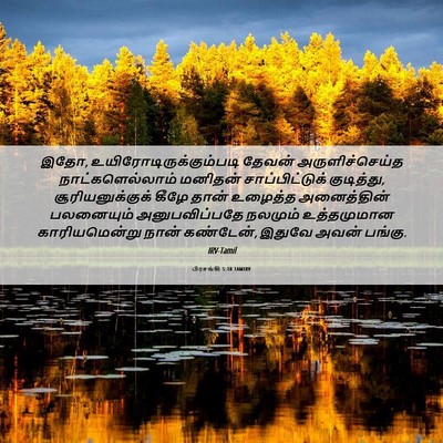 Picture 06 - பிரசங்கி 5:18 TAMIRV - இதோ, - Bible Verse Picture