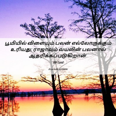 Picture 06 - பிரசங்கி 5:9 TAMIRV - பூமியில் விளையும் - Bible Verse Picture