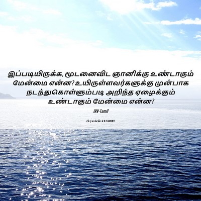 Picture 06 - பிரசங்கி 6:8 TAMIRV - இப்படியிருக்க, - Bible Verse Picture