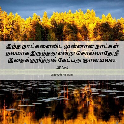 Picture 06 - பிரசங்கி 7:10 TAMIRV - இந்த நாட்களைவிட - Bible Verse Picture