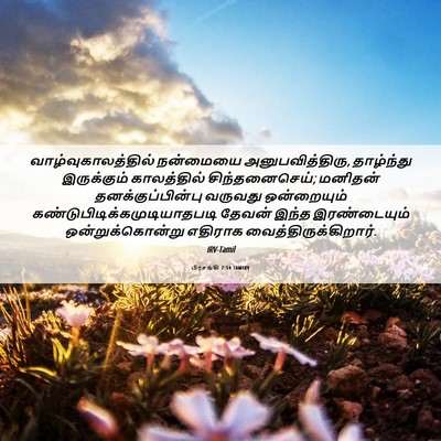 Picture 06 - பிரசங்கி 7:14 TAMIRV - வாழ்வுகாலத்தில் - Bible Verse Picture