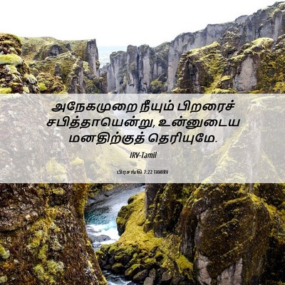 Picture 06 - பிரசங்கி 7:22 TAMIRV - அநேகமுறை நீயும் - Bible Verse Picture