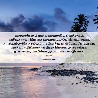 Picture 06 - பிரசங்கி 7:26 TAMIRV - கண்ணிகளும் - Bible Verse Picture