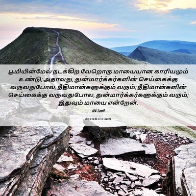 Picture 06 - பிரசங்கி 8:14 TAMIRV - பூமியின்மேல் - Bible Verse Picture