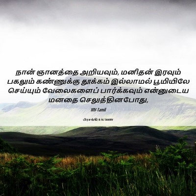 Picture 06 - பிரசங்கி 8:16 TAMIRV - நான் ஞானத்தை - Bible Verse Picture