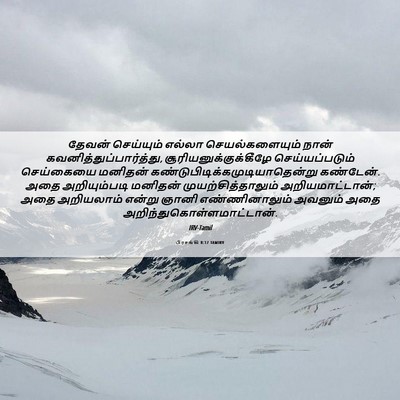 Picture 06 - பிரசங்கி 8:17 TAMIRV - தேவன் செய்யும் - Bible Verse Picture