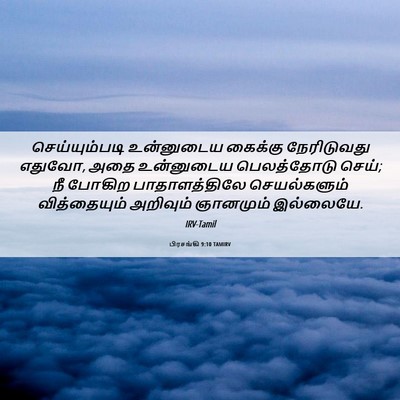 Picture 06 - பிரசங்கி 9:10 TAMIRV - செய்யும்படி - Bible Verse Picture