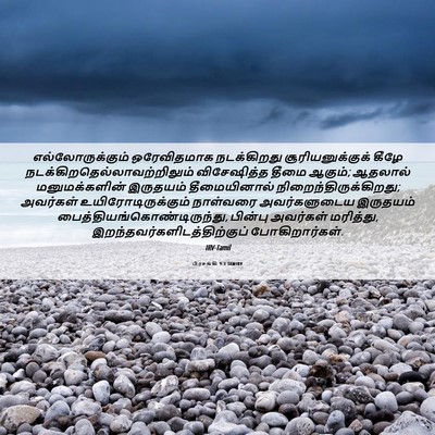 Picture 06 - பிரசங்கி 9:3 TAMIRV - எல்லோருக்கும் - Bible Verse Picture