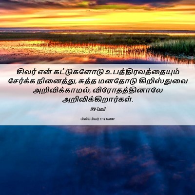 Picture 06 - பிலிப்பியர் 1:16 TAMIRV - சிலர் என் - Bible Verse Picture