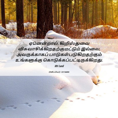 Picture 06 - பிலிப்பியர் 1:29 TAMIRV - ஏனென்றால், - Bible Verse Picture