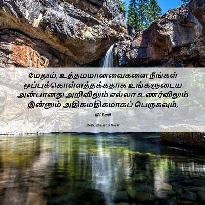 Picture 06 - பிலிப்பியர் 1:9 TAMIRV - மேலும், - Bible Verse Picture