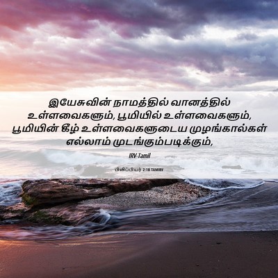 Picture 06 - பிலிப்பியர் 2:10 TAMIRV - இயேசுவின் - Bible Verse Picture