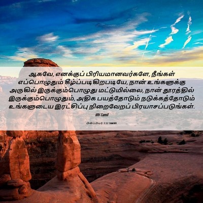 Picture 06 - பிலிப்பியர் 2:12 TAMIRV - ஆகவே, எனக்குப் - Bible Verse Picture