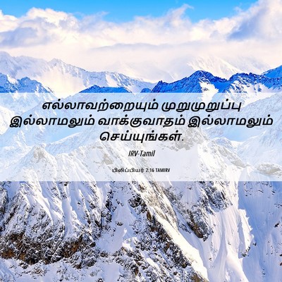 Picture 06 - பிலிப்பியர் 2:16 TAMIRV - எல்லாவற்றையும் - Bible Verse Picture