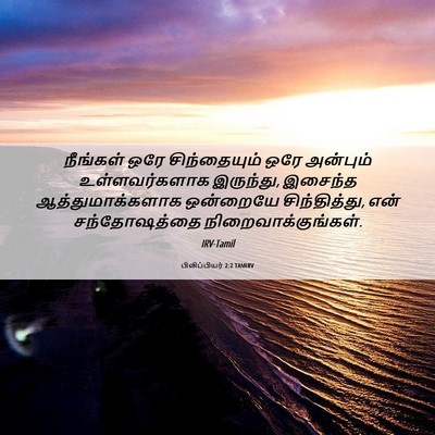 Picture 06 - பிலிப்பியர் 2:2 TAMIRV - நீங்கள் ஒரே - Bible Verse Picture