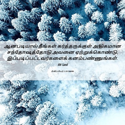Picture 06 - பிலிப்பியர் 2:29 TAMIRV - ஆனபடியால் நீங்கள் - Bible Verse Picture