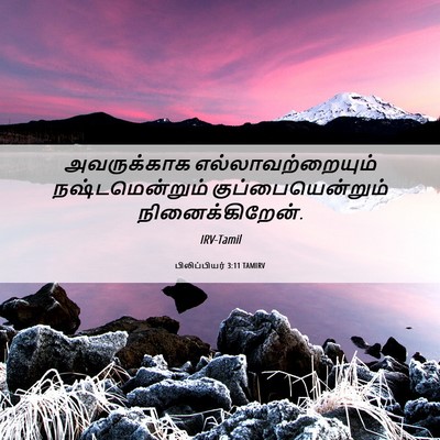 Picture 06 - பிலிப்பியர் 3:11 TAMIRV - அவருக்காக - Bible Verse Picture