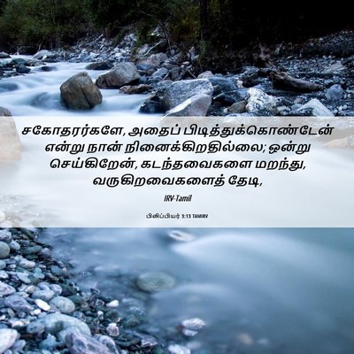 Picture 06 - பிலிப்பியர் 3:13 TAMIRV - சகோதரர்களே, அதைப் - Bible Verse Picture