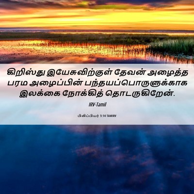 Picture 06 - பிலிப்பியர் 3:14 TAMIRV - கிறிஸ்து - Bible Verse Picture