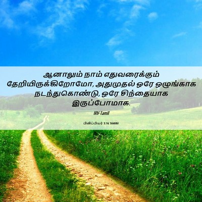 Picture 06 - பிலிப்பியர் 3:16 TAMIRV - ஆனாலும் நாம் - Bible Verse Picture