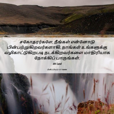 Picture 06 - பிலிப்பியர் 3:17 TAMIRV - சகோதரர்களே, - Bible Verse Picture