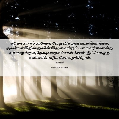 Picture 06 - பிலிப்பியர் 3:18 TAMIRV - ஏனென்றால், அநேகர் - Bible Verse Picture