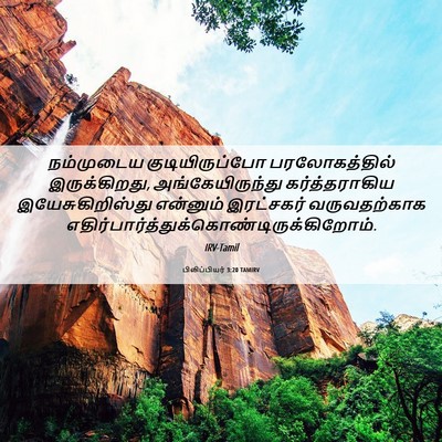Picture 06 - பிலிப்பியர் 3:20 TAMIRV - நம்முடைய - Bible Verse Picture