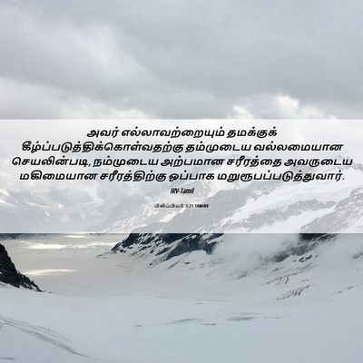 Picture 06 - பிலிப்பியர் 3:21 TAMIRV - அவர் - Bible Verse Picture
