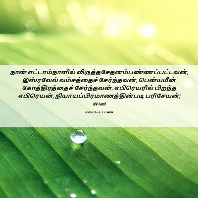 Picture 06 - பிலிப்பியர் 3:5 TAMIRV - நான் - Bible Verse Picture