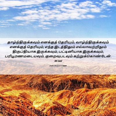 Picture 06 - பிலிப்பியர் 4:12 TAMIRV -  - Bible Verse Picture