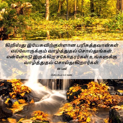 Picture 06 - பிலிப்பியர் 4:21 TAMIRV - கிறிஸ்து - Bible Verse Picture