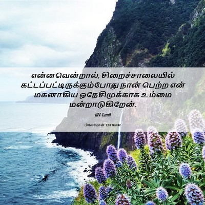 Picture 06 - பிலேமோன் 1:10 TAMIRV - என்னவென்றால், - Bible Verse Picture