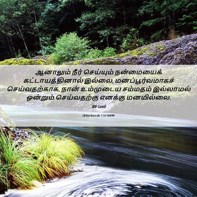 Picture 06 - பிலேமோன் 1:14 TAMIRV - ஆனாலும் நீர் - Bible Verse Picture